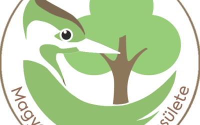 A FAVÉDELEM BEOLVADÁSA A KIVITELEZÉSBE GYAKORLATI TAPASZTALATOK, ESETTANULMÁNYOK