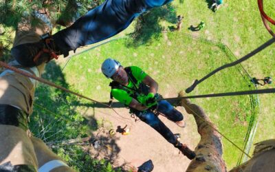 ETCC – European Tree Climbing Championship beszámoló – Horvátország