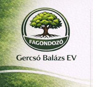 Gercsó Balázs