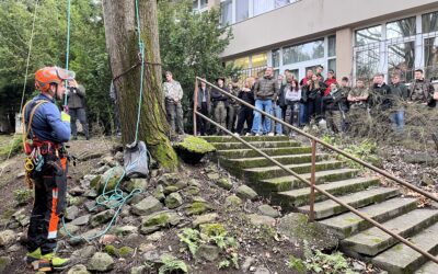 A Magyar Faápolók Egyesülete Szakmai Bemutatót Tartott az Északi ASZC Mátra Erdészeti Technikum, Szakképző Iskola és Kollégiumban