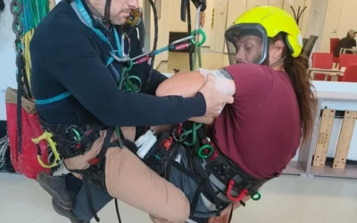 Életmentő tudás faápolóknak – különleges oktatás különleges napon