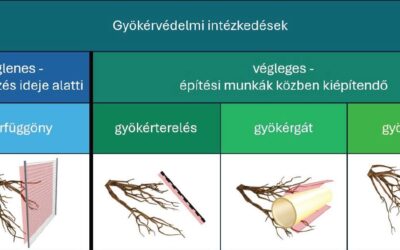Gyökérkezelés és gyökérvizsgálat szakmai nap