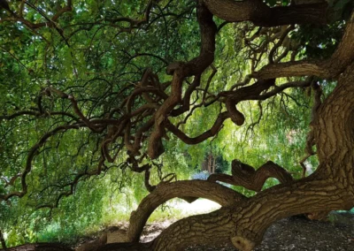 Szakmai kirándulás Bécsbe