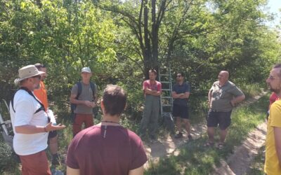 Elindult Magyarországon a nemzetközi pyrolízises sebkezelési kutatás első vizsgálata
