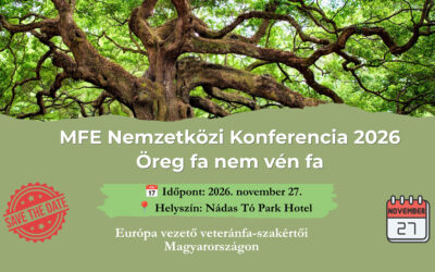 MFE Nemzetközi Konferencia 2026 – Öreg fa nem vén fa