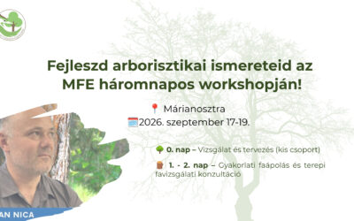 MFE szakmai workshop Márianosztrán – Koros fák vizsgálata és kezelése Stefan Nicával