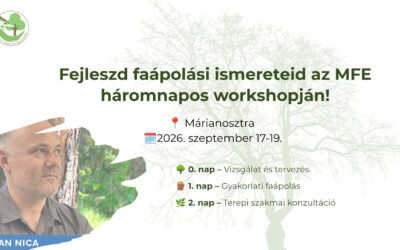 MFE szakmai workshop Márianosztrán – Koros fák vizsgálata és kezelése Stefan Nicával