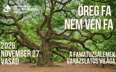 MFE Nemzetközi Konferencia 2026 – Öreg fa nem vén fa